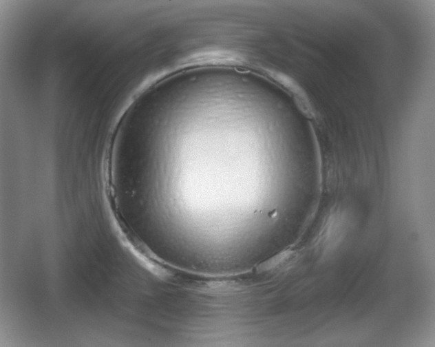 X0000067331383200604071314