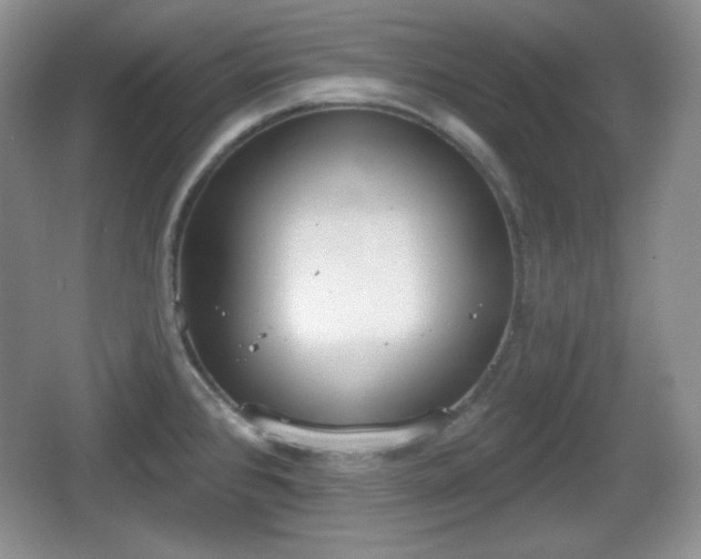 X0000067331384200604071314