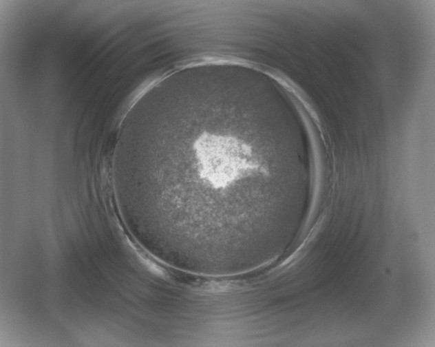 X0000067331385200604071314