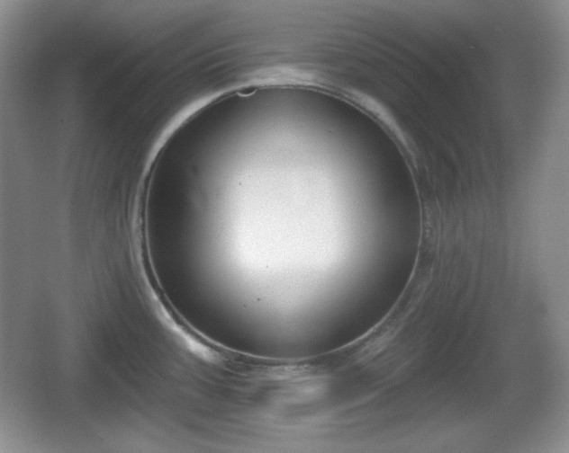 X0000067331387200604071314