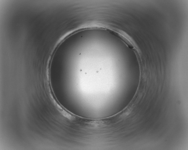 X0000067331388200604071314