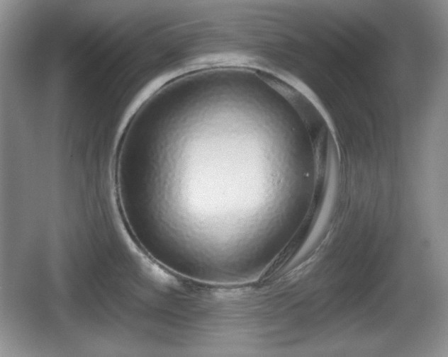 X0000067331389200604071314