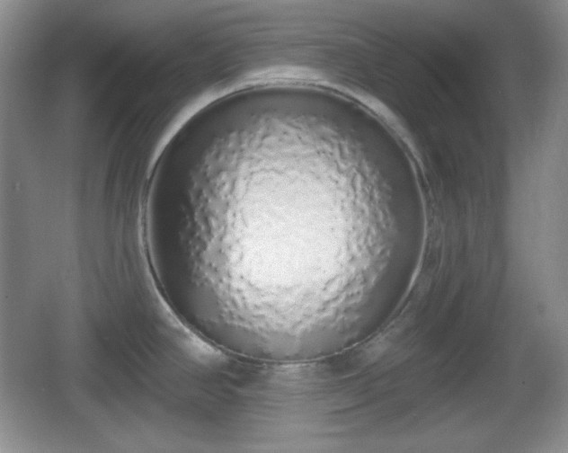 X0000067331390200604071314