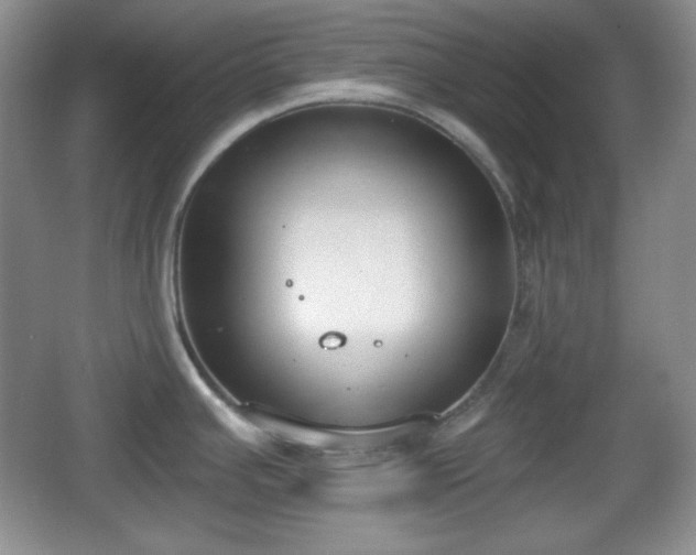 X0000067331391200604071314