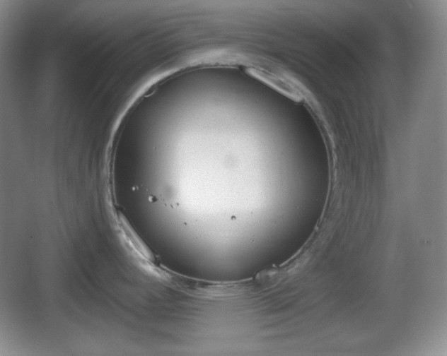 X0000067331392200604071314