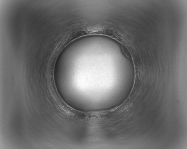 X0000067331393200604071313