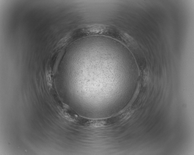 X0000067331394200604071313