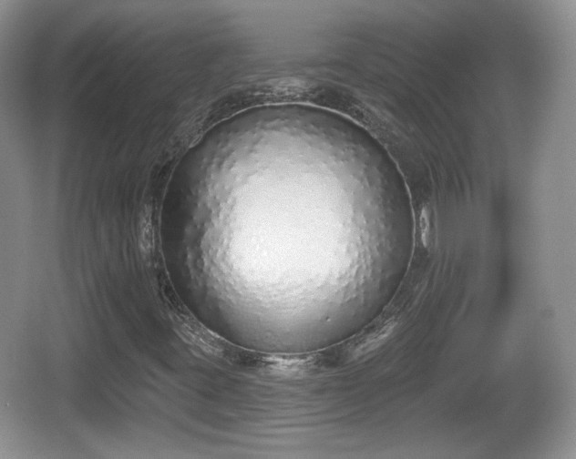 X0000067331395200604071313