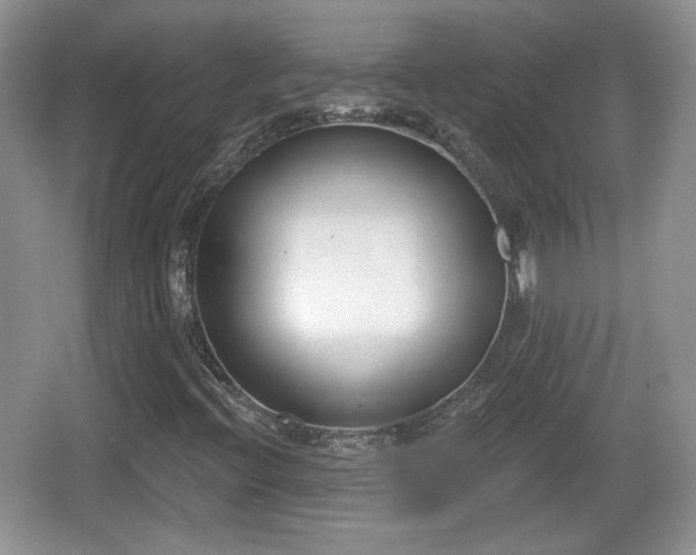 X0000067331396200604071313