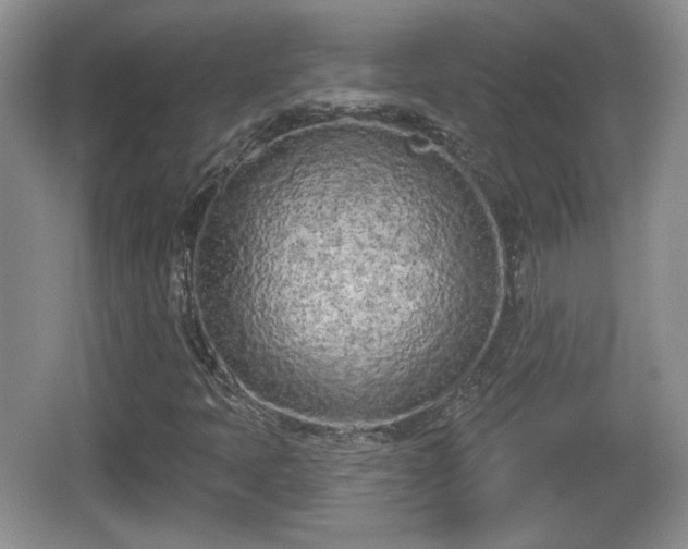 X0000067331397200604071313