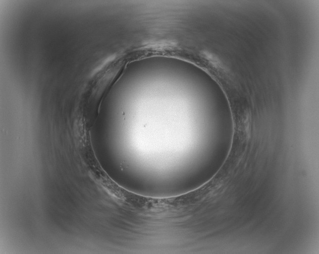 X0000067331398200604071313