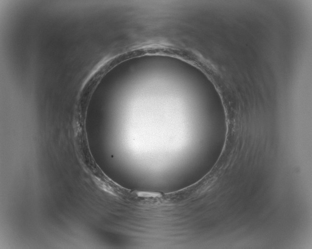 X0000067331400200604071313