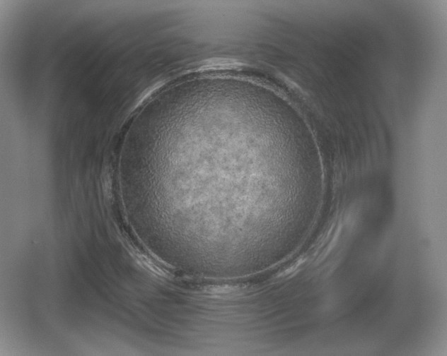 X0000067331401200604071313