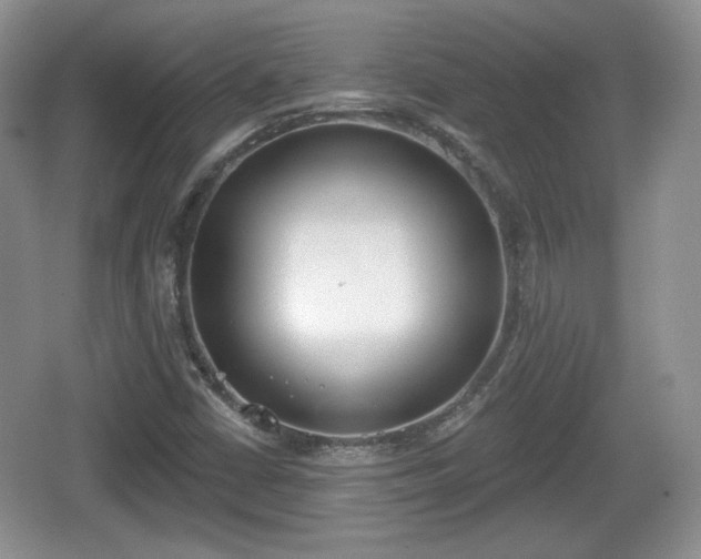 X0000067331402200604071313