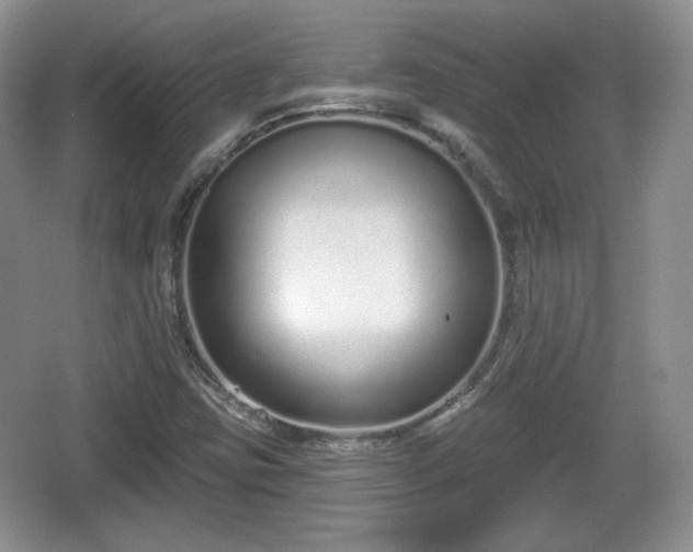 X0000067331403200604071313