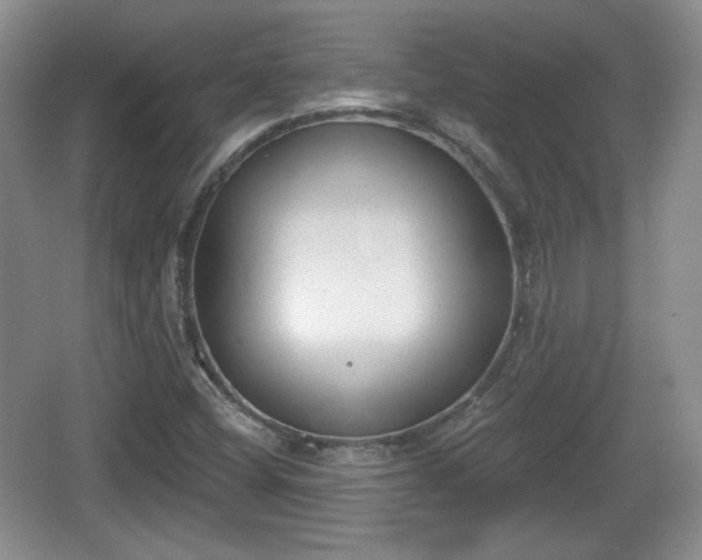 X0000067331404200604071313