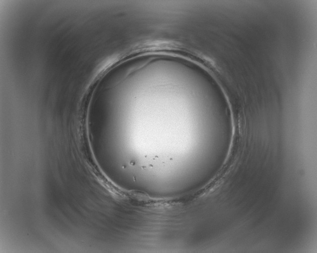 X0000067331405200604071313