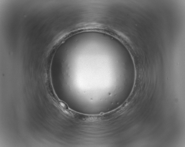 X0000067331407200604071313