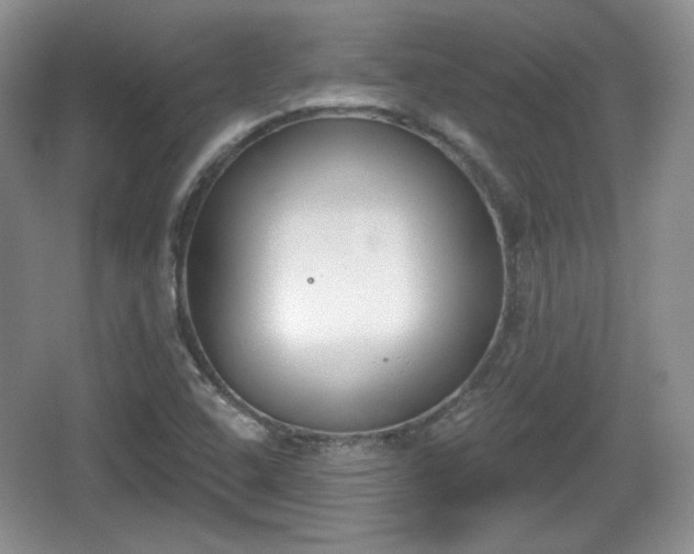 X0000067331408200604071313