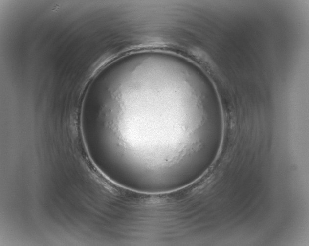 X0000067331409200604071313