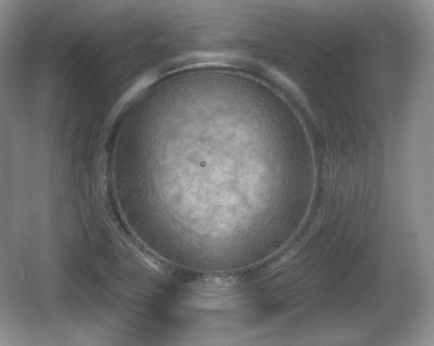 X0000067331411200604071313