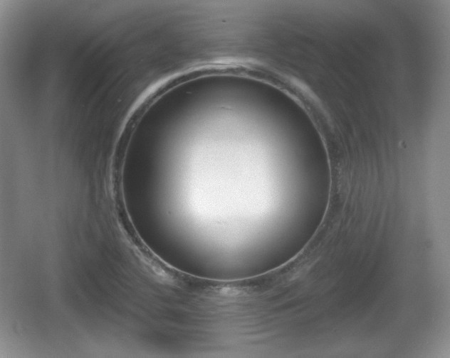 X0000067331412200604071313