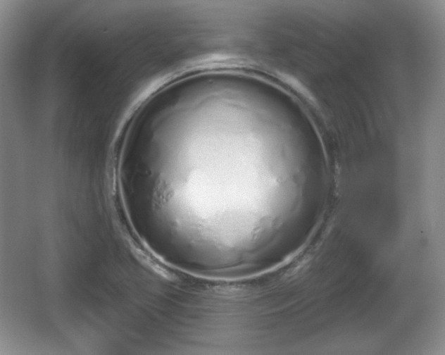 X0000067331413200604071313