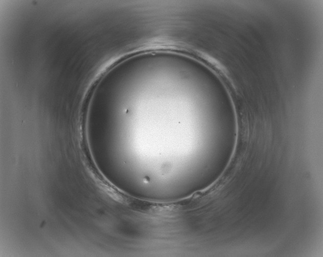 X0000067331415200604071313