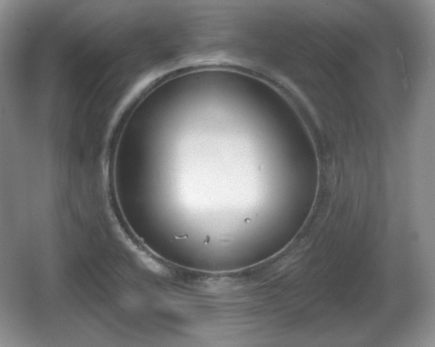 X0000067331416200604071313