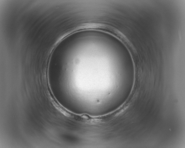 X0000067331417200604071313