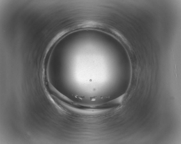 X0000067331418200604071313