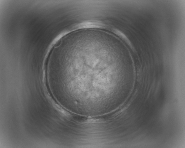 X0000067331419200604071313