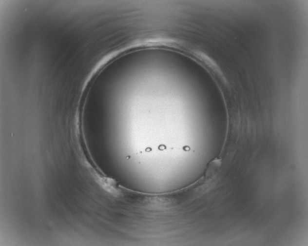 X0000067331420200604071313