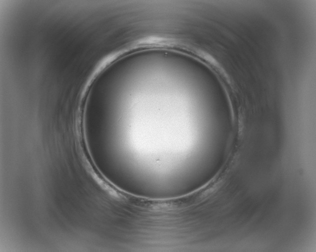 X0000067331421200604071313