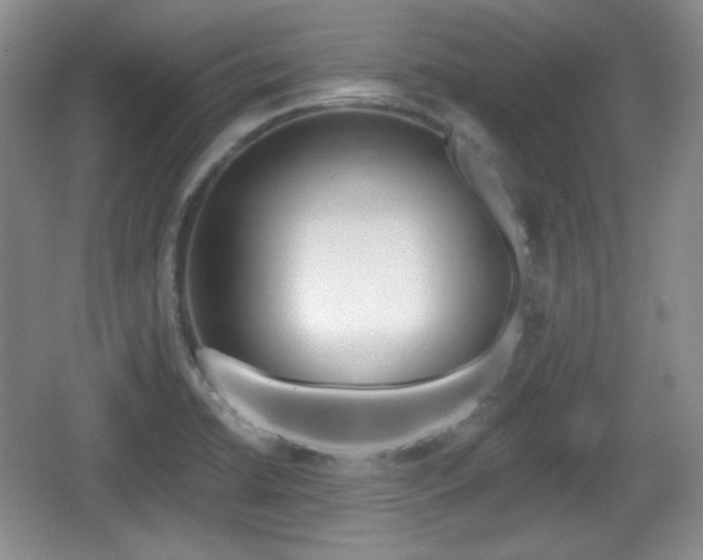 X0000067331422200604071313