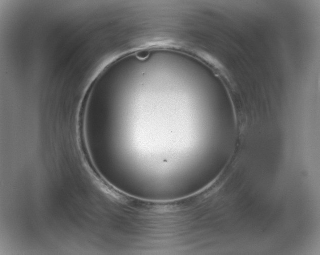 X0000067331423200604071313