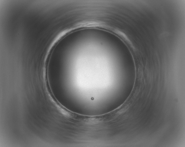 X0000067331424200604071313