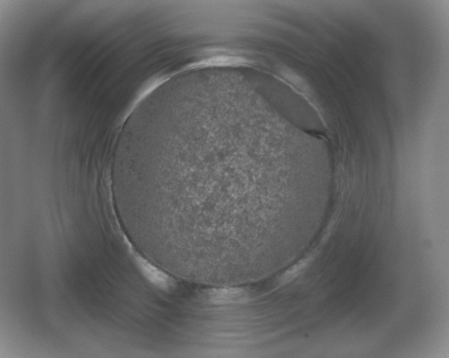 X0000067331425200604071313