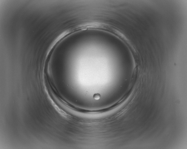 X0000067331426200604071313