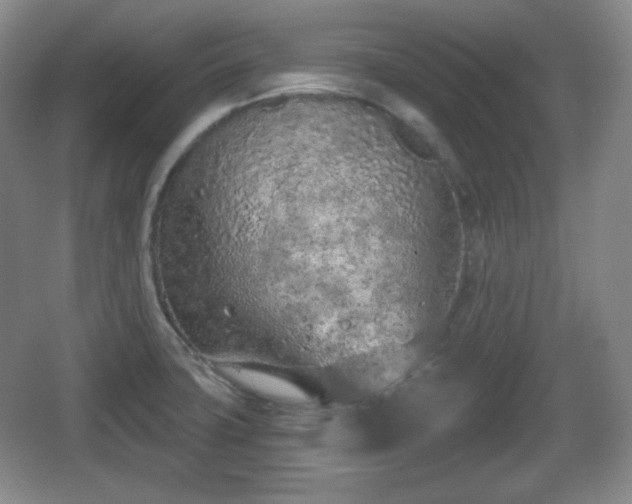 X0000067331427200604071313