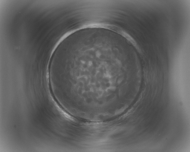 X0000067331428200604071313