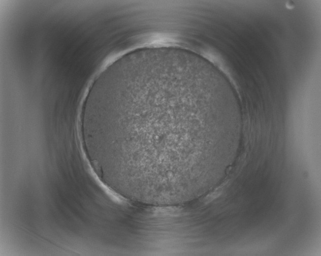 X0000067331429200604071313