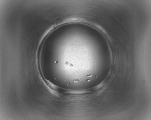 X0000067331430200604071314