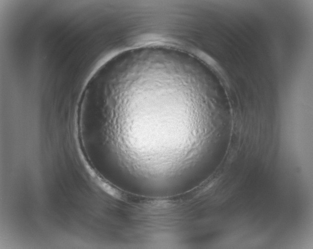 X0000067331431200604071314