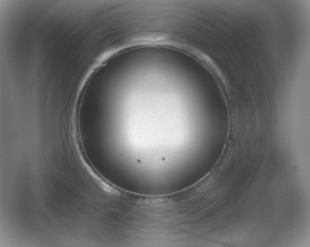 X0000067331432200604071314