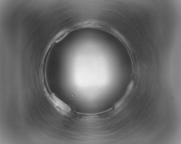 X0000067331434200604071314