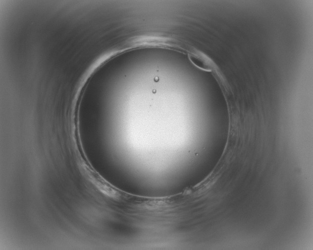 X0000067331435200604071314