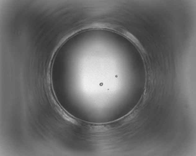 X0000067331436200604071314