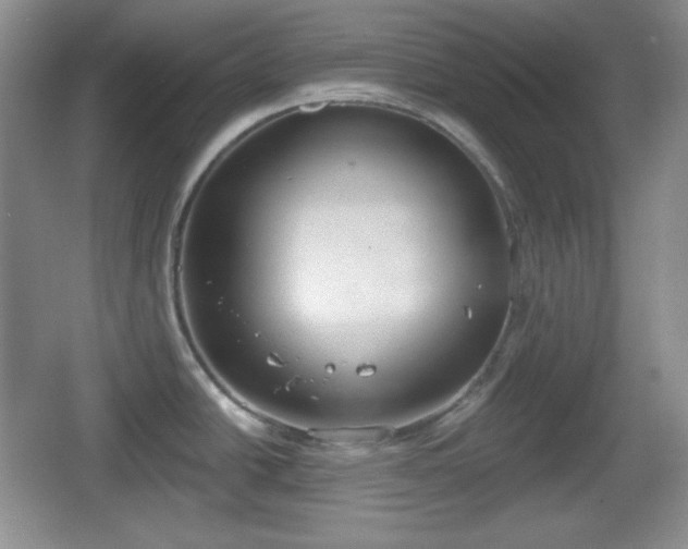 X0000067331438200604071314