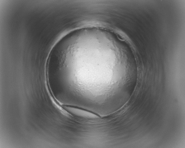 X0000067331439200604071314